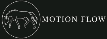 MotionFlow